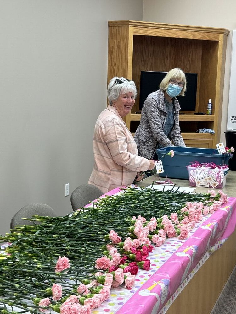 Susan Cawsey & Pat Nicholls 2023 carnation prep